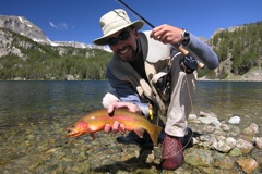 how to catch colorado golden trout fishing planet